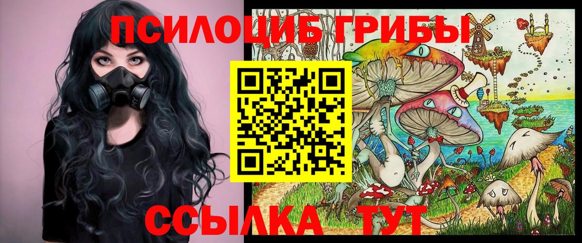 Псилоцибиновые грибы мицелий Заречный