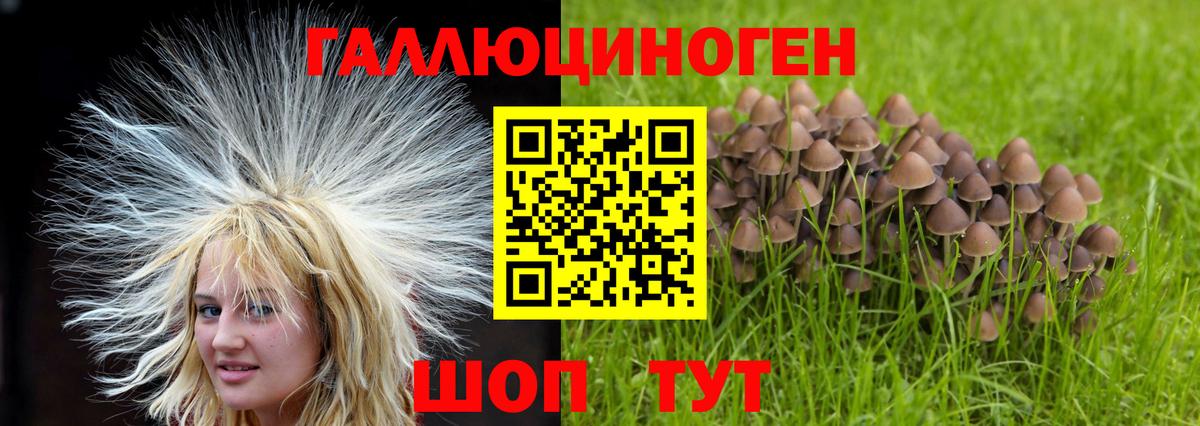 Заречный  купить закладку  Галлюциногенные грибы Magic Shrooms  Вход с VPN  Псилоцибиновые грибы мухоморы 